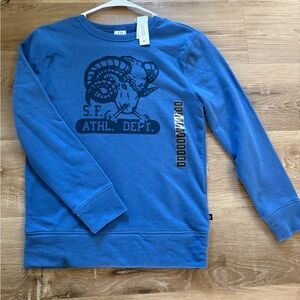 Blue Athletic Boys Sweater